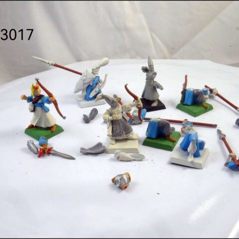 PLASTIC HIGH ELVES 6 X WARRIOR
